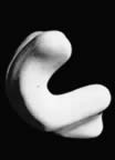 Immagine 52.jpg (12kb)